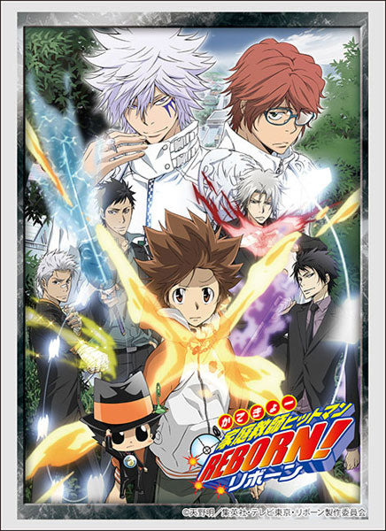 Bushiroad Sleeve Collection High Grade Vol.4525 Reborn! "Future Arc" Pack