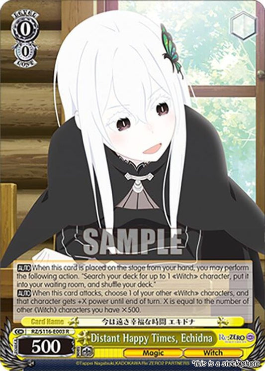 Distant Happy Times, Echidna