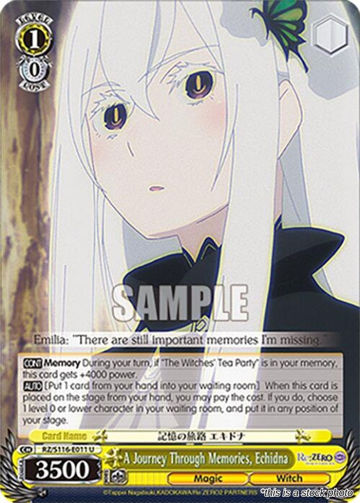 A Journey Through Memories, Echidna