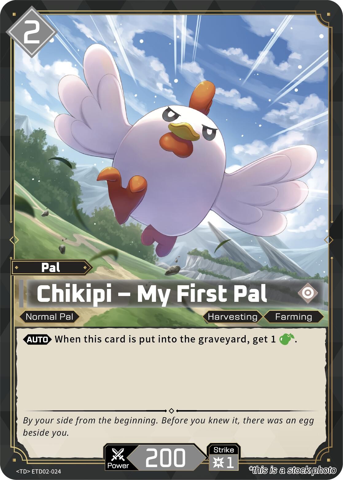 Chikipi - My First Pal