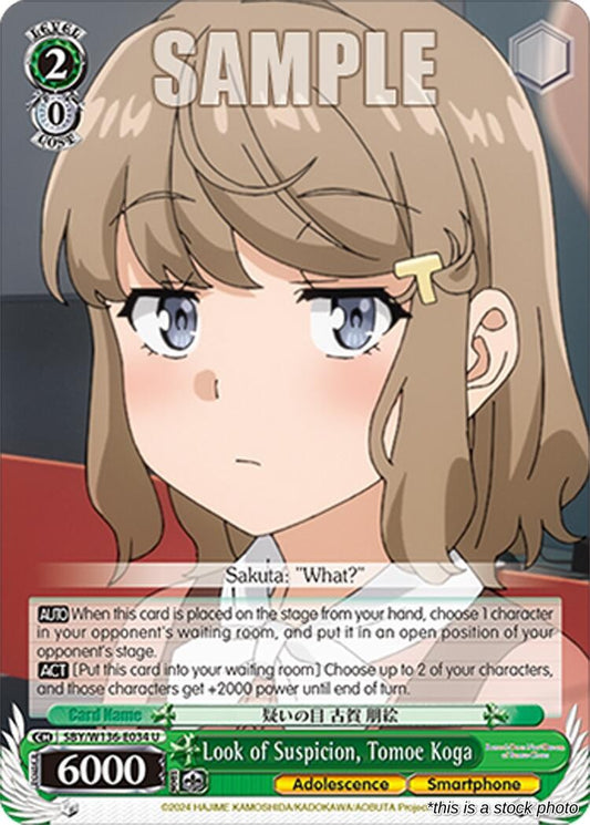 Look of Suspicion, Tomoe Koga