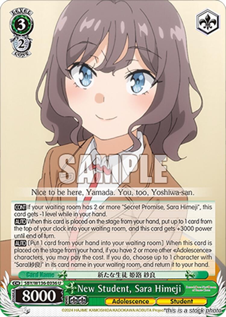 New Student, Sara Himeji