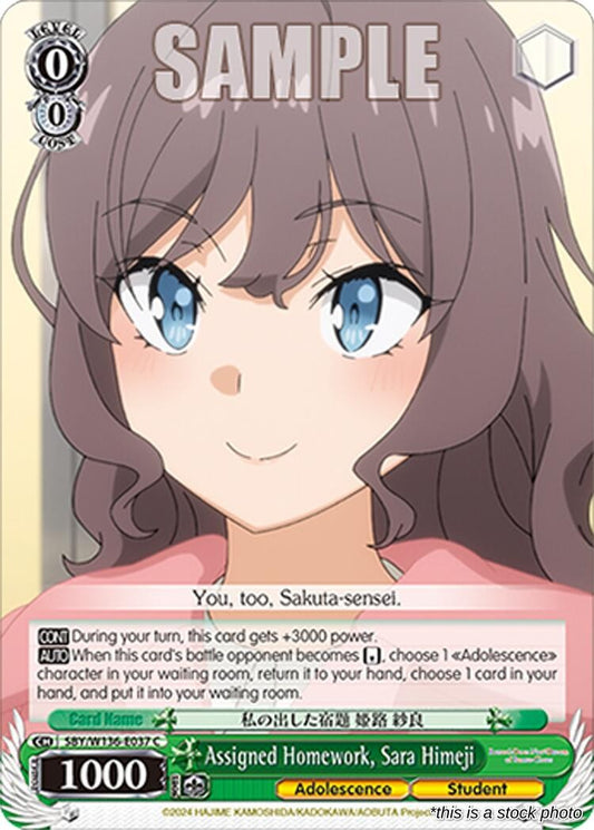 Assigned Homework, Sara Himeji