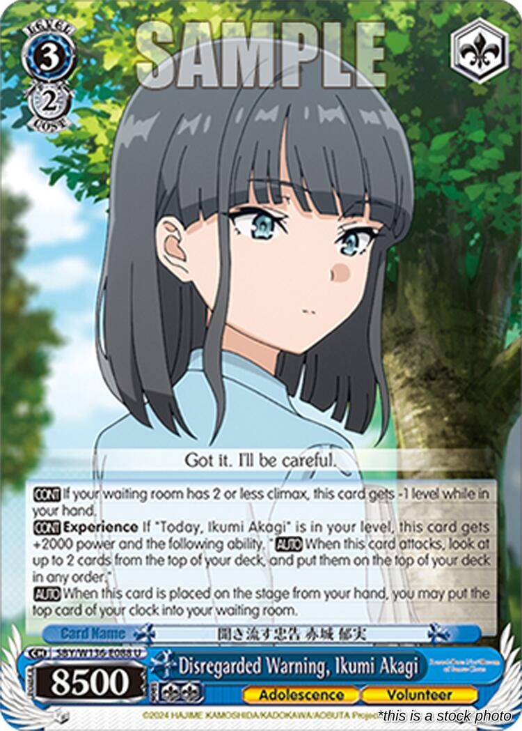 Disregarded Warning, Ikumi Akagi
