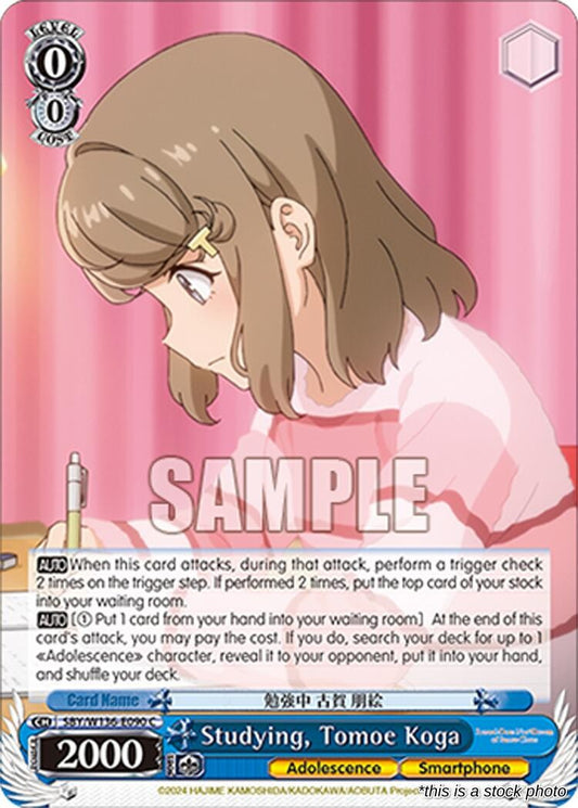 Studying, Tomoe Koga