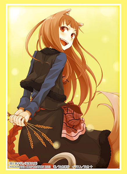 Bushiroad Sleeve Collection High Grade Vol.4117 Dengeki Bunko Spice and Wolf "Holo" Part.3 Pack