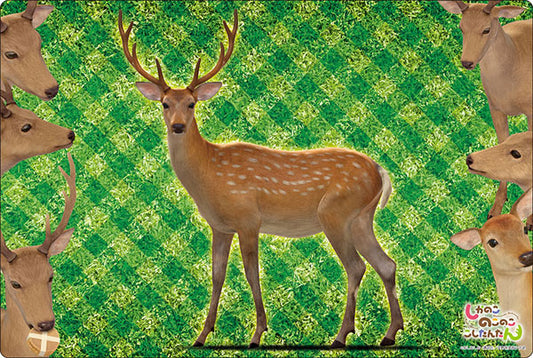 Bushiroad Rubber Mat Collection V2 Vol.1421 My Deer Friend Nokotan "Deer"
