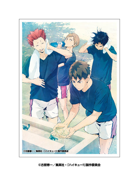 Character Sleeve Anime "Haikyuu!!" Wakaba-fuu (EN-1634) Pack