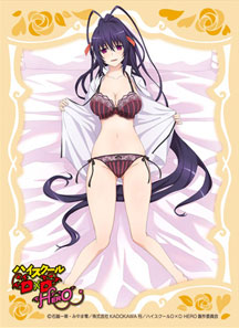 Character Sleeve Collection Matte Series High School D x D HERO Akeno Himejima (No.MT1872) Pack