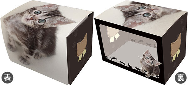 Character Deck Case MAX NEO "American Shorthair"